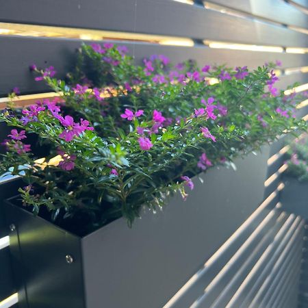 Ferienwohnung Olli Koch Reken Ngoại thất bức ảnh